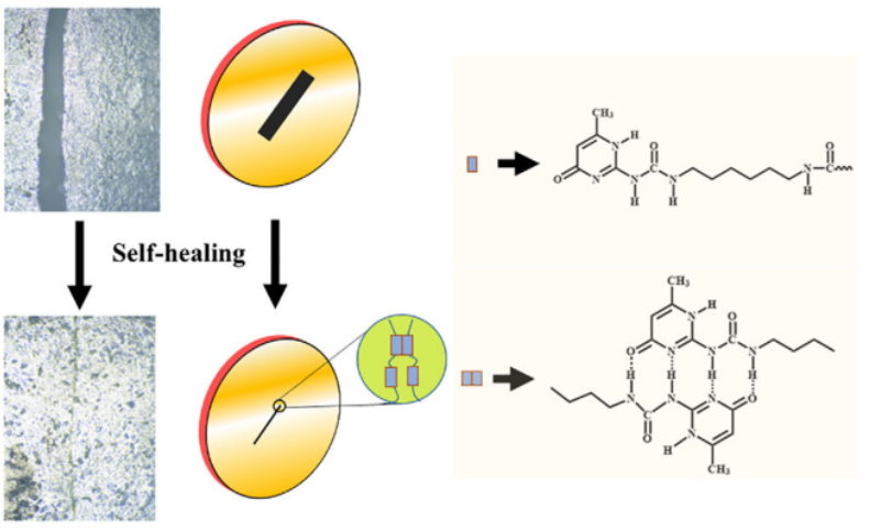 640 (2).png 640 (2).png